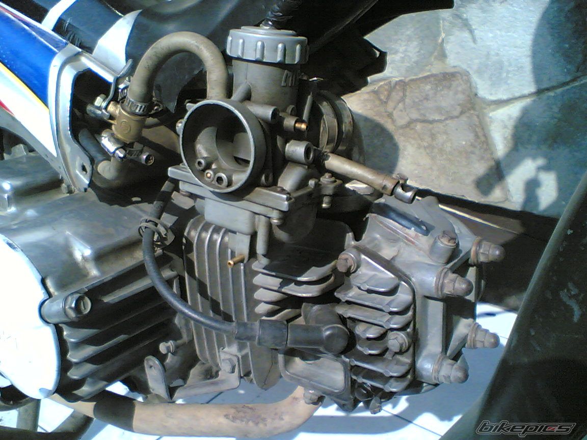 Photo 2454002