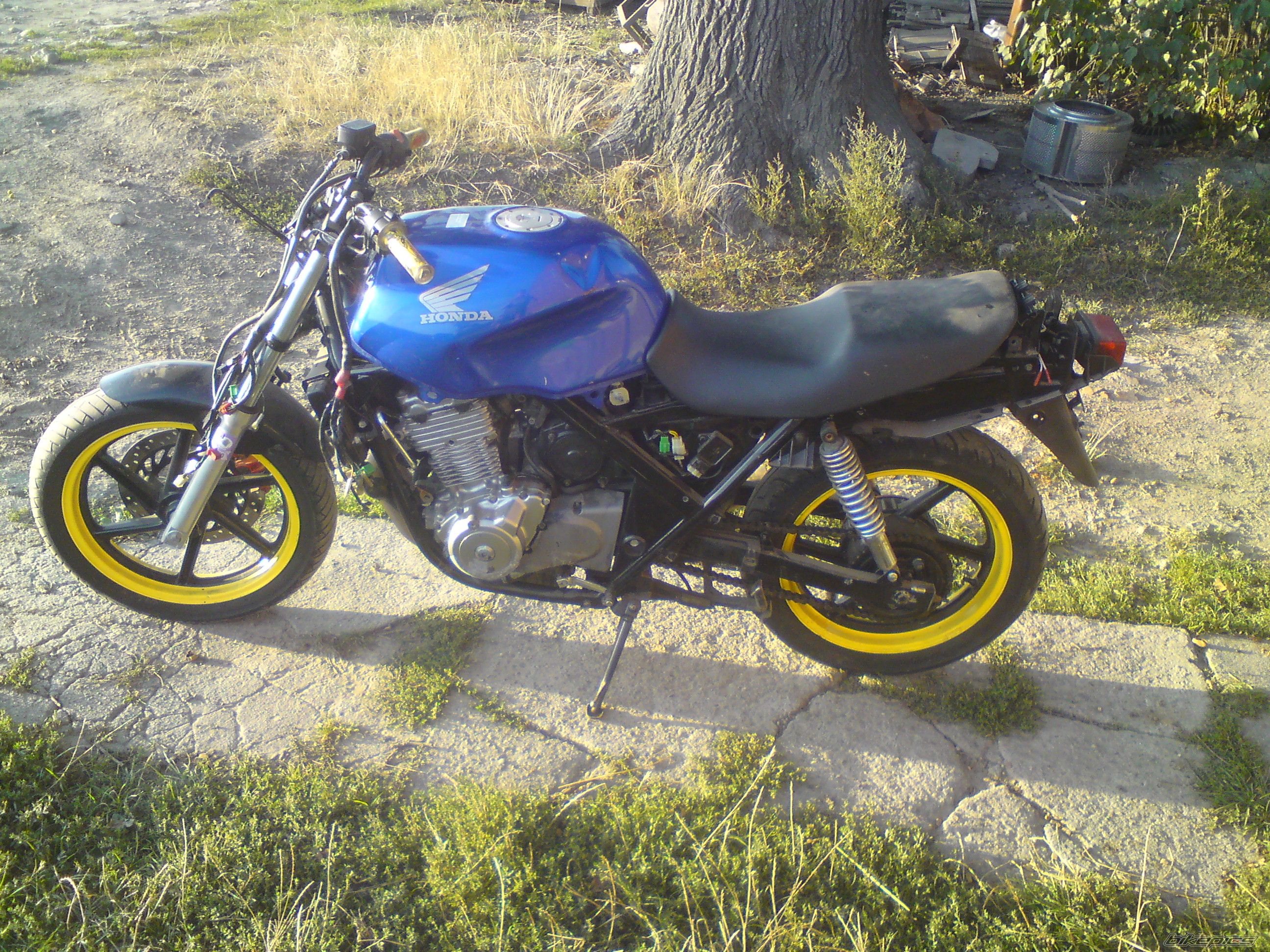 Photo 2454128