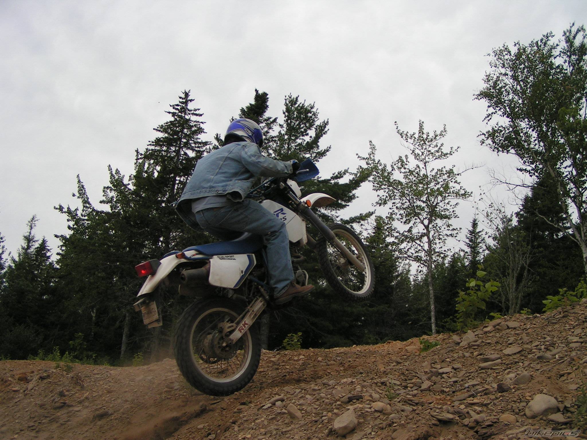 Photo 245415