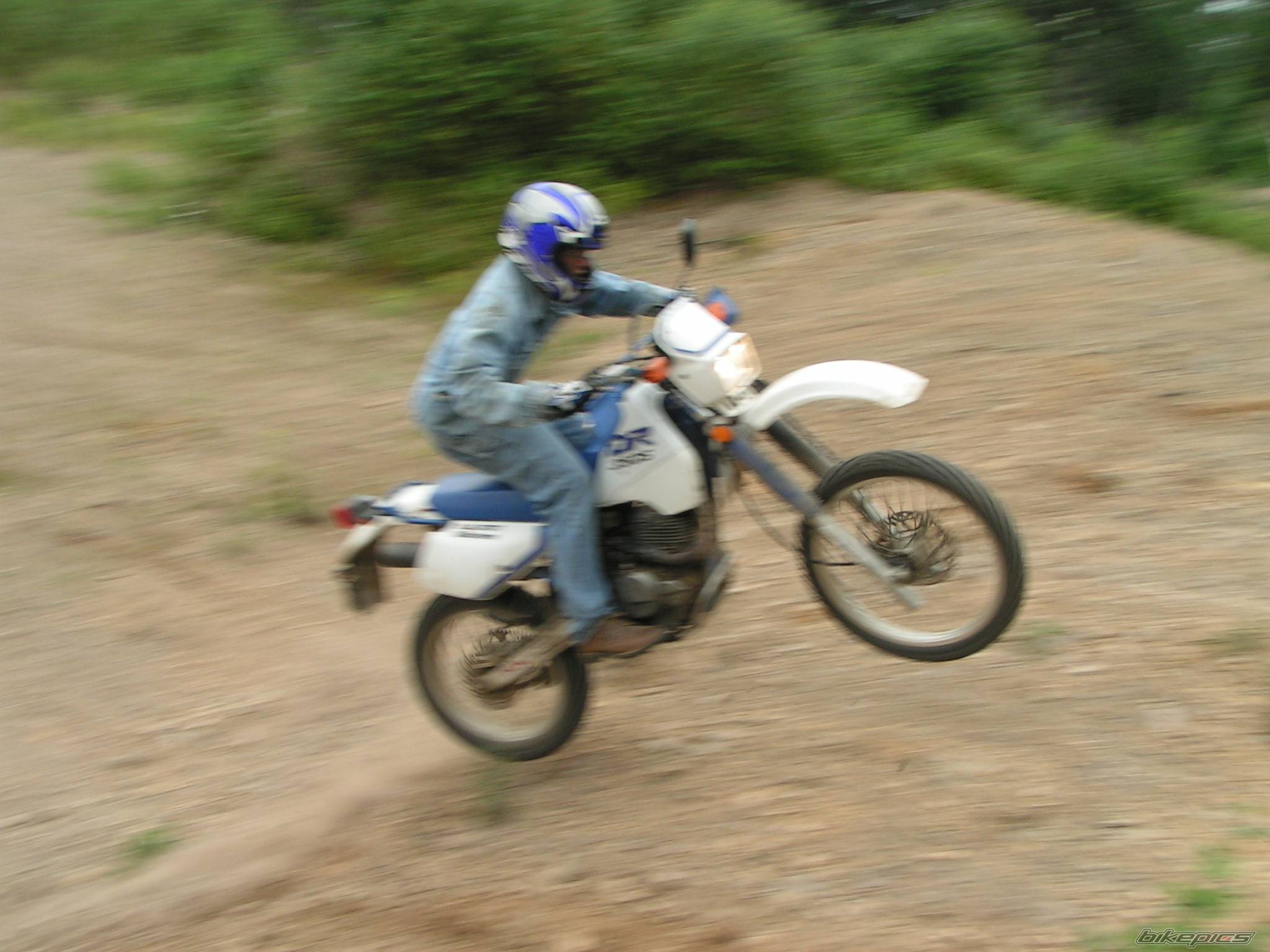 Photo 245416