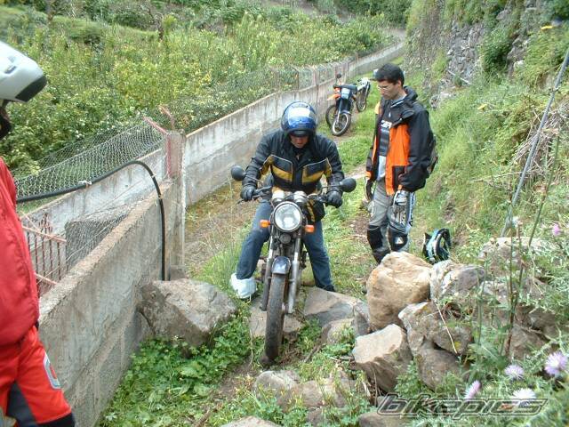 Bike Photo 245419