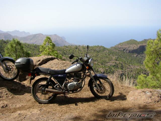 Bike Photo 245421