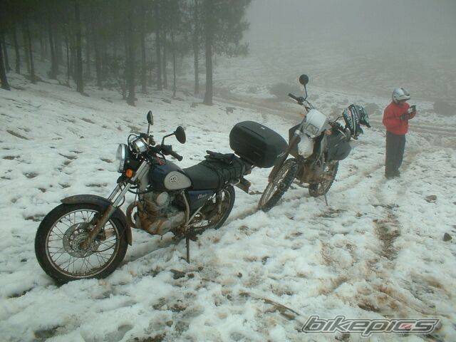 Bike Photo 245424