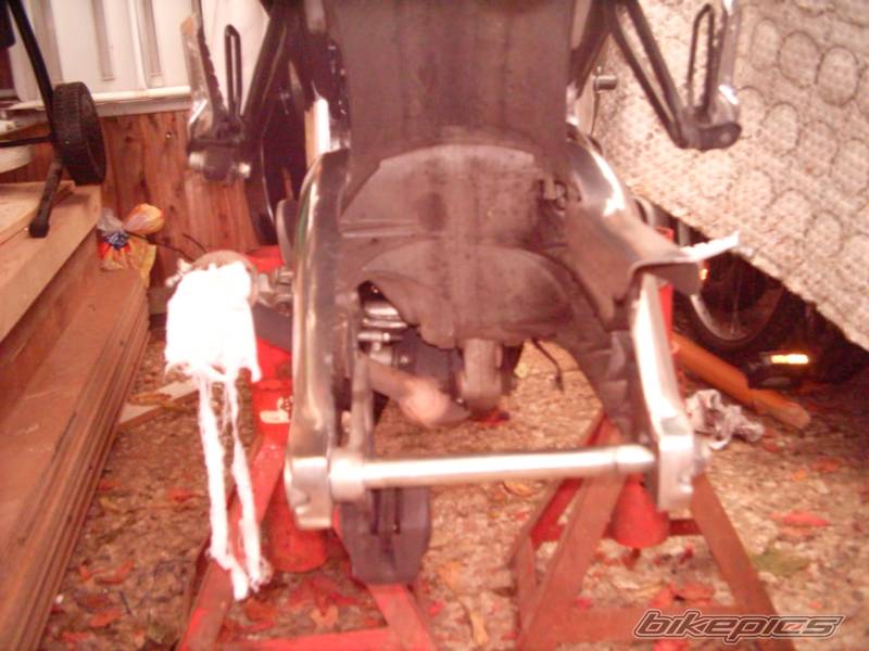 Photo 245431