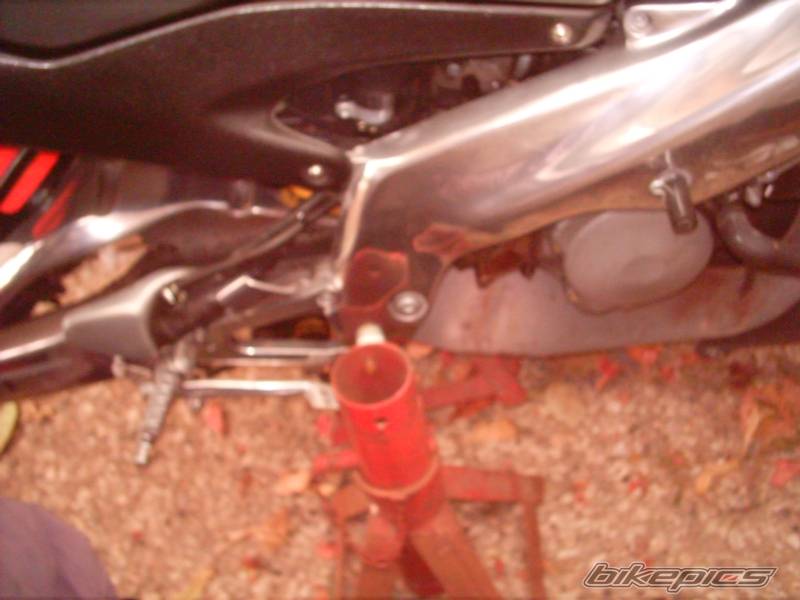 Photo 245432