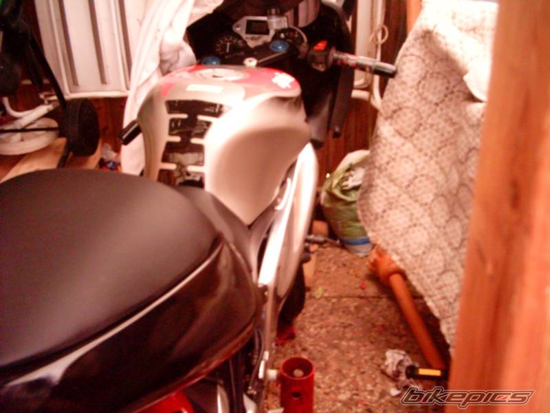 Photo 245433