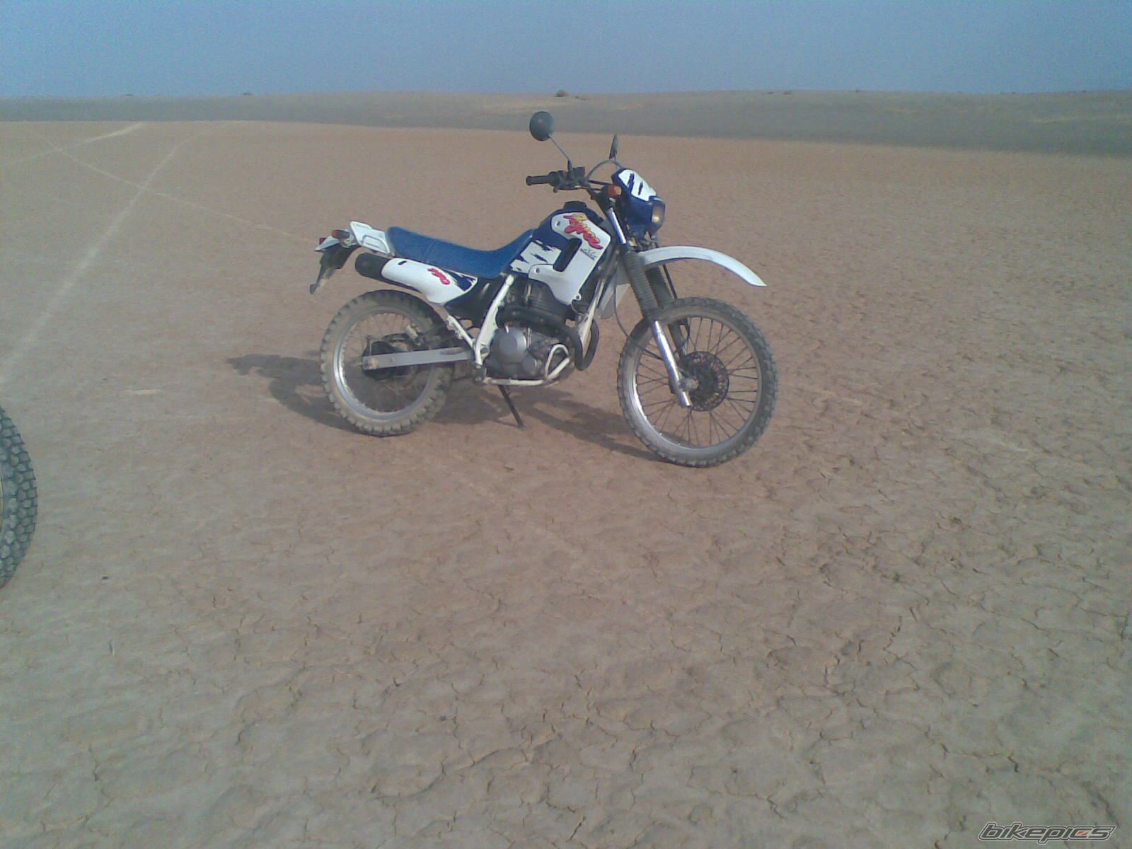 Photo 2454431