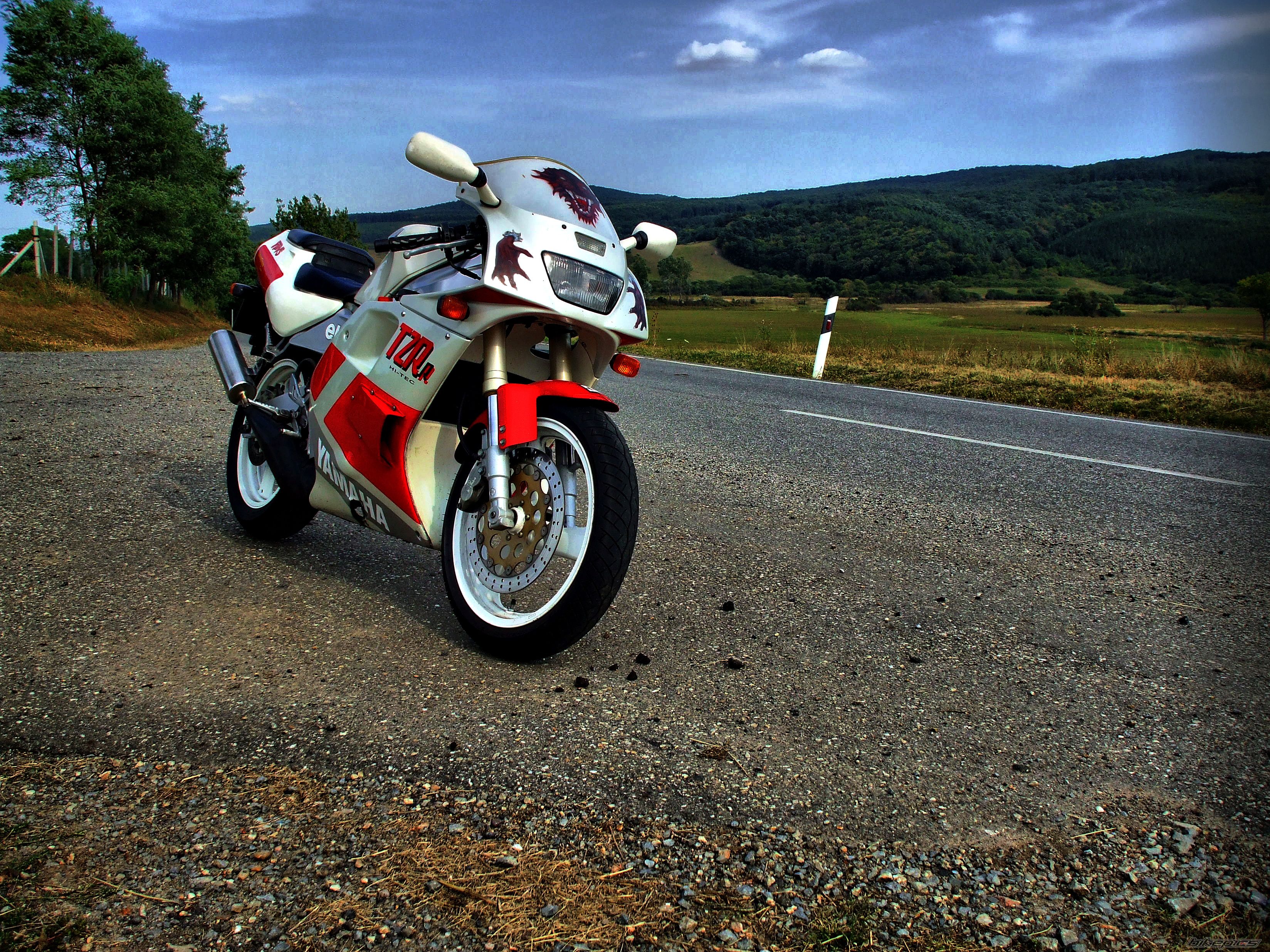 Photo 2454463