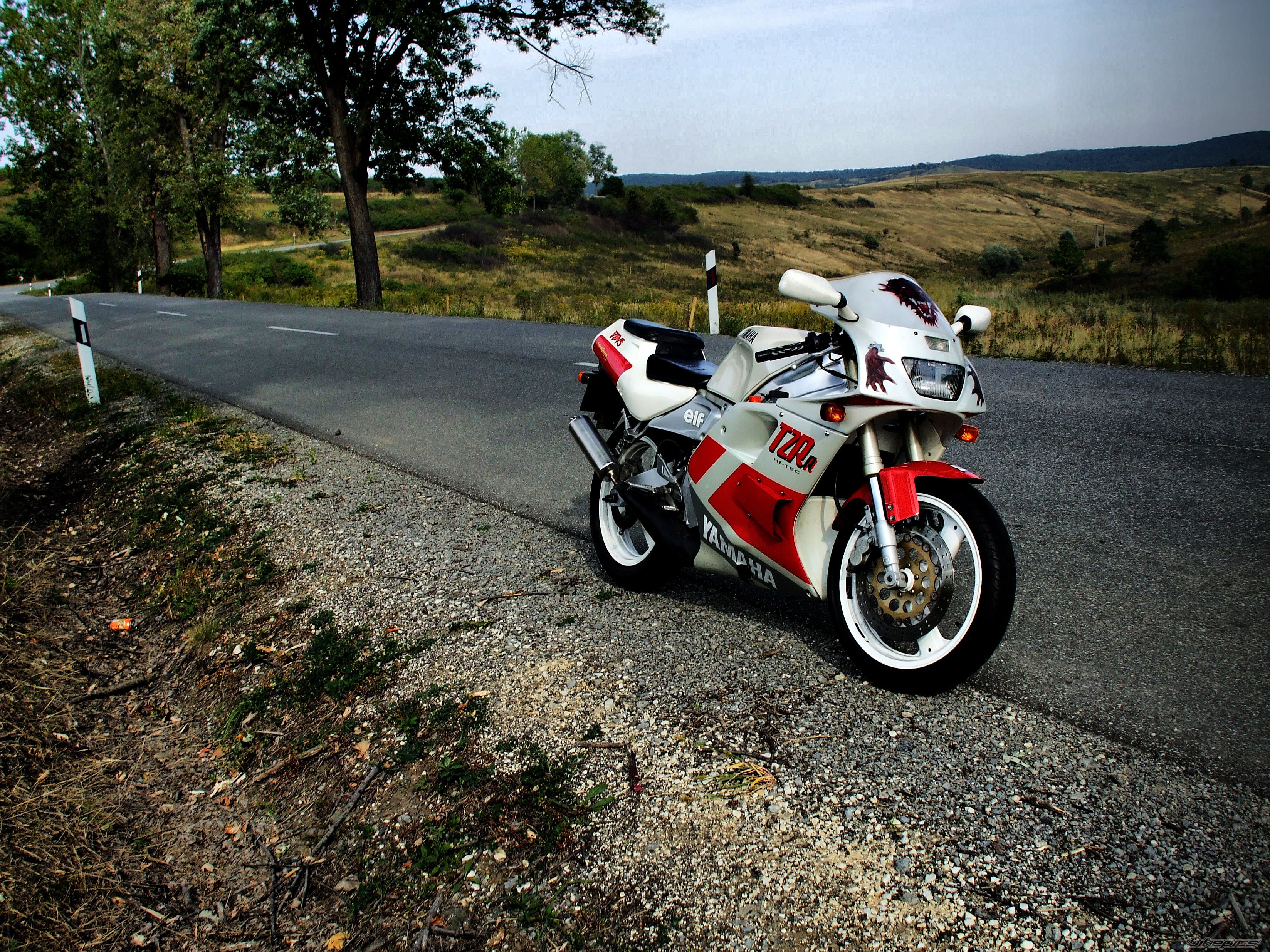 Photo 2454464