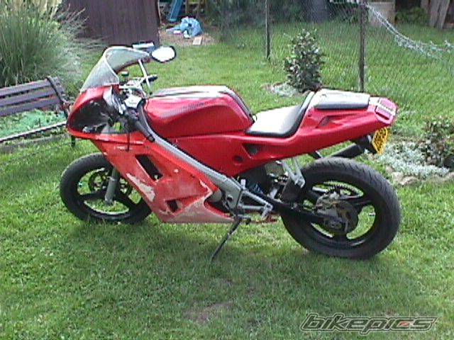 Photo 245456