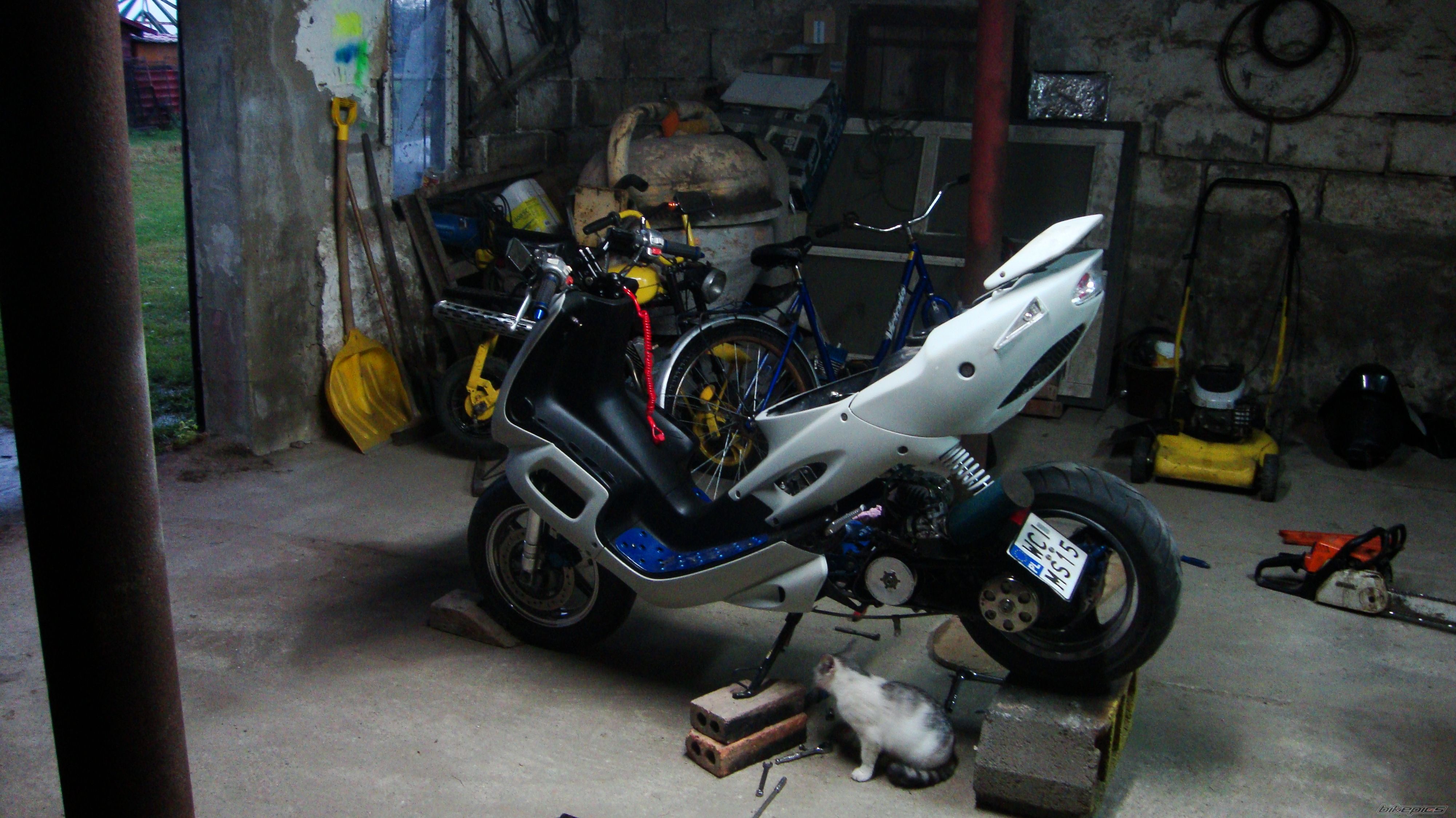 Photo 2454565