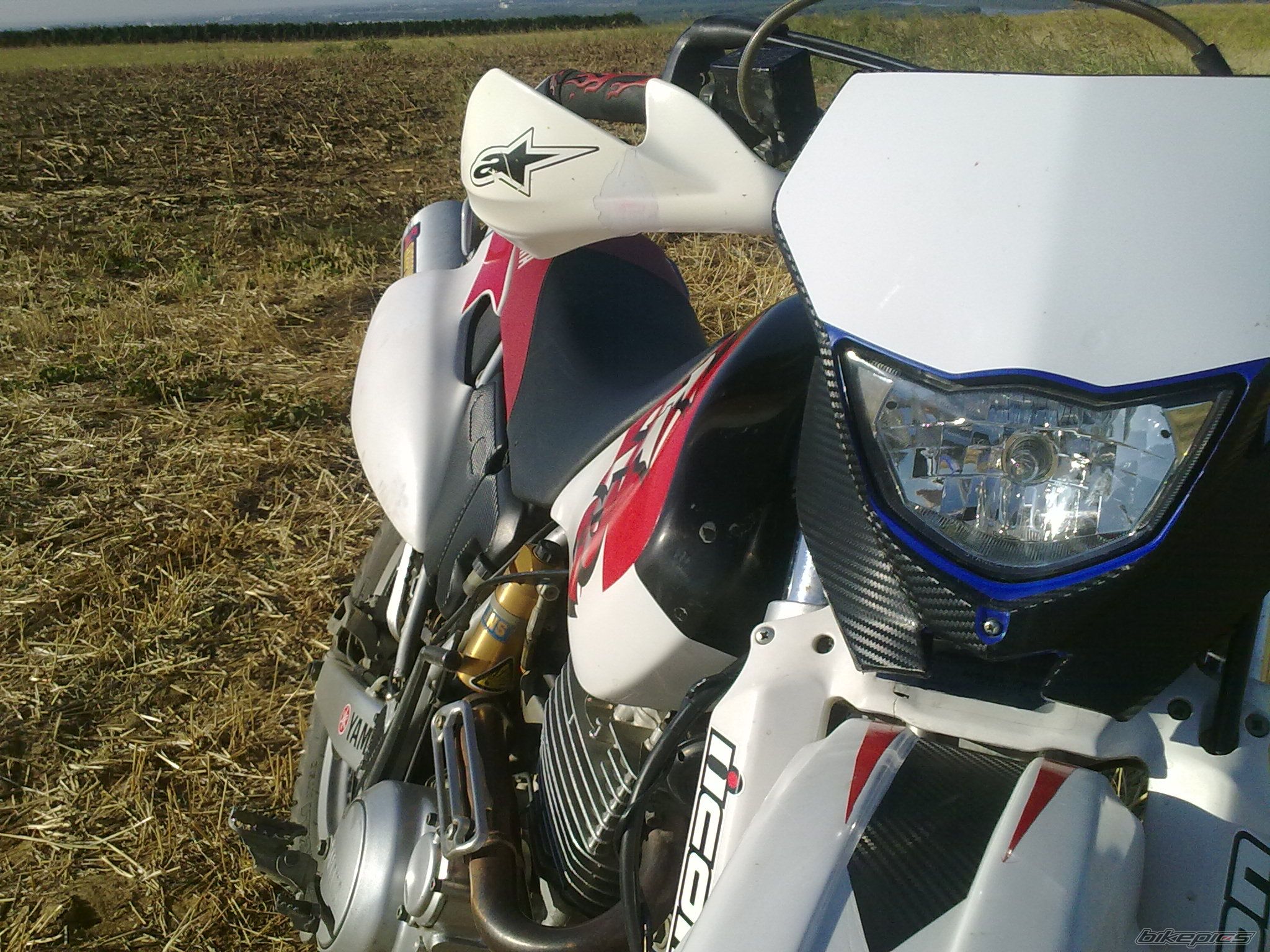 Photo 2454624