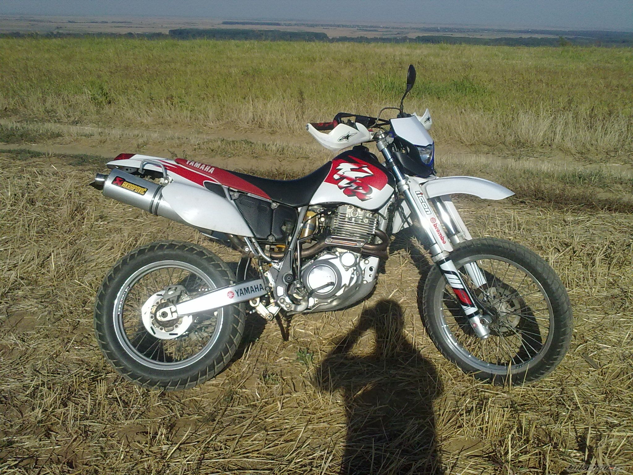 Photo 2454625