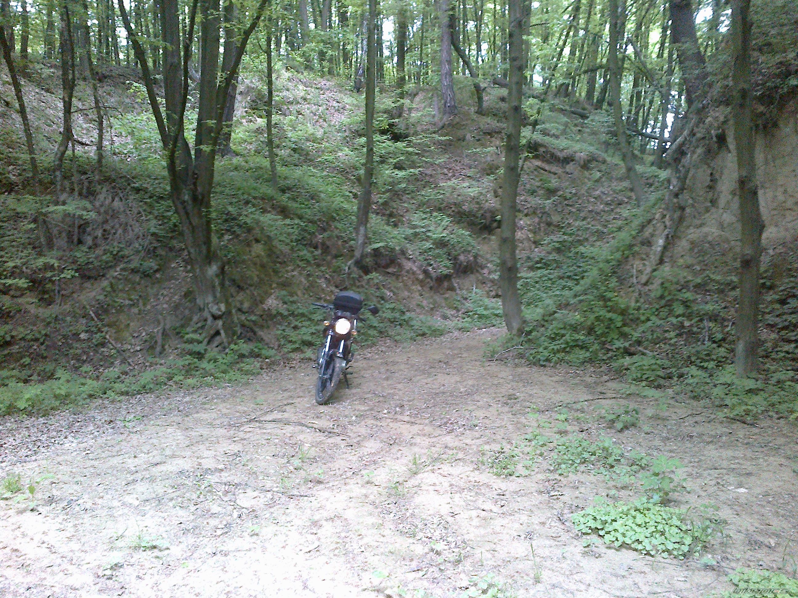 Photo 2454630