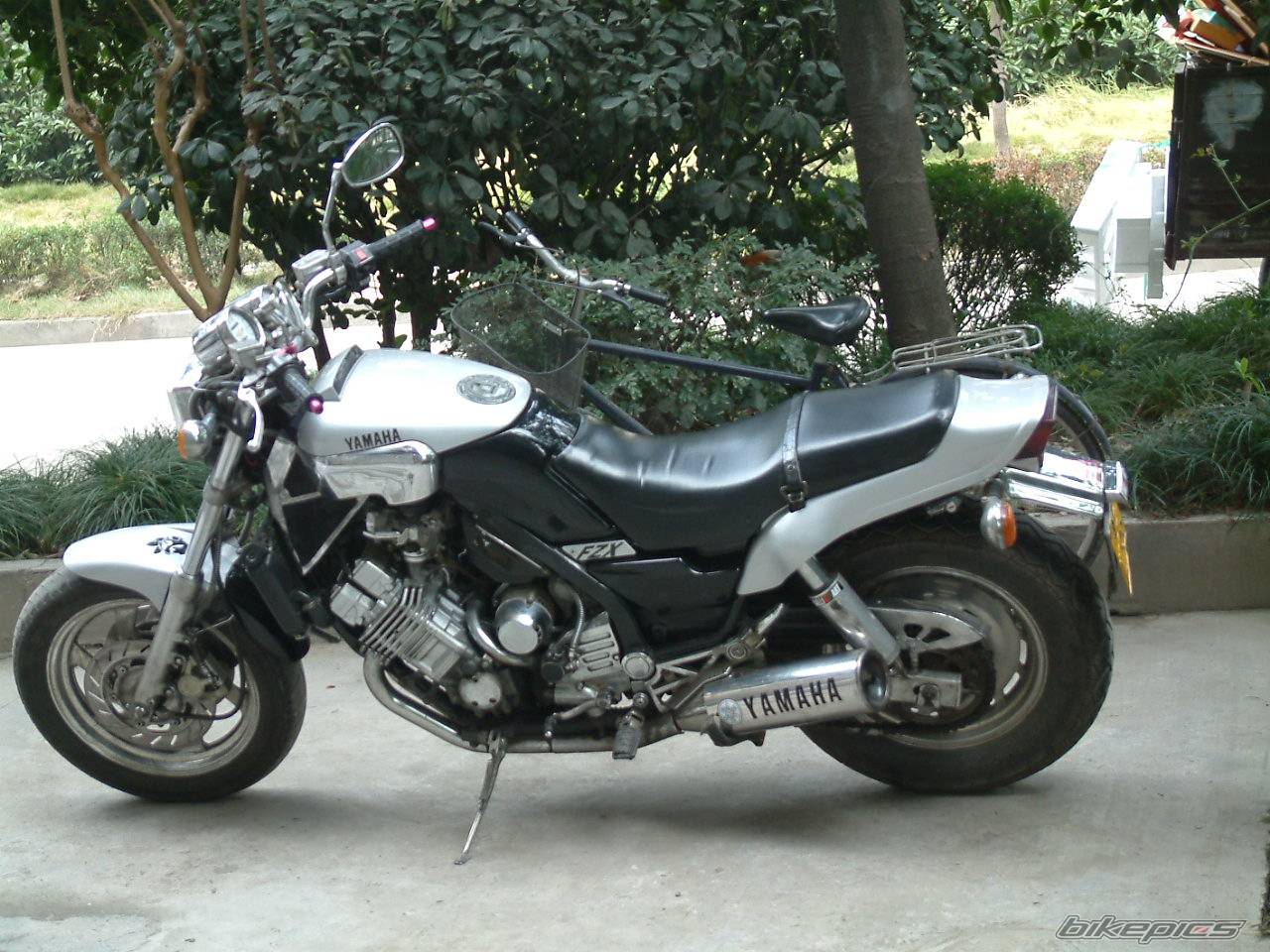 Photo 245466