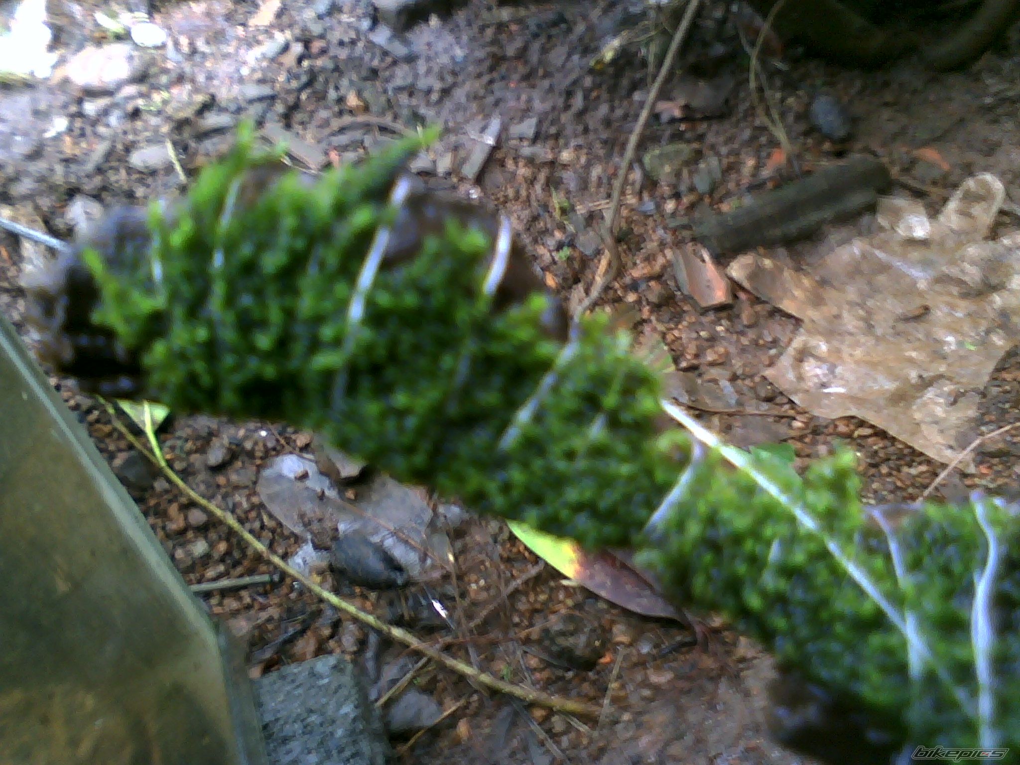 Photo 2454693