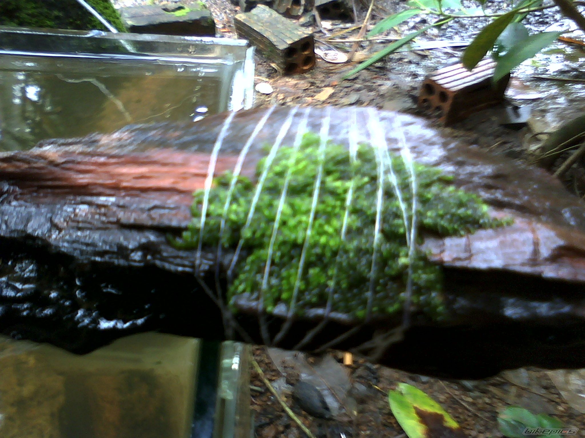 Photo 2454694