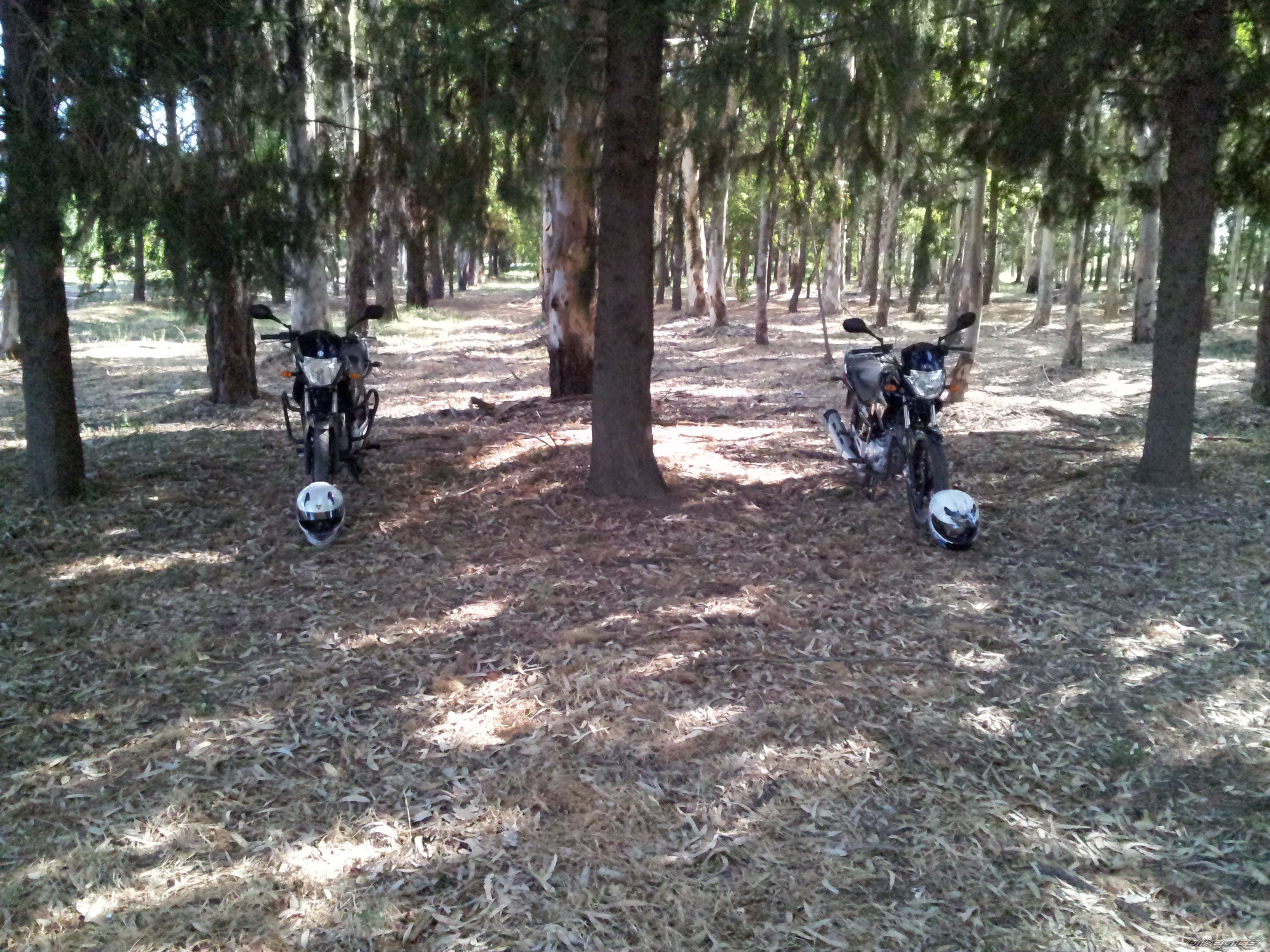 Photo 2454719