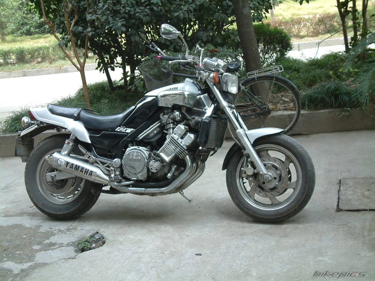 Photo 245477