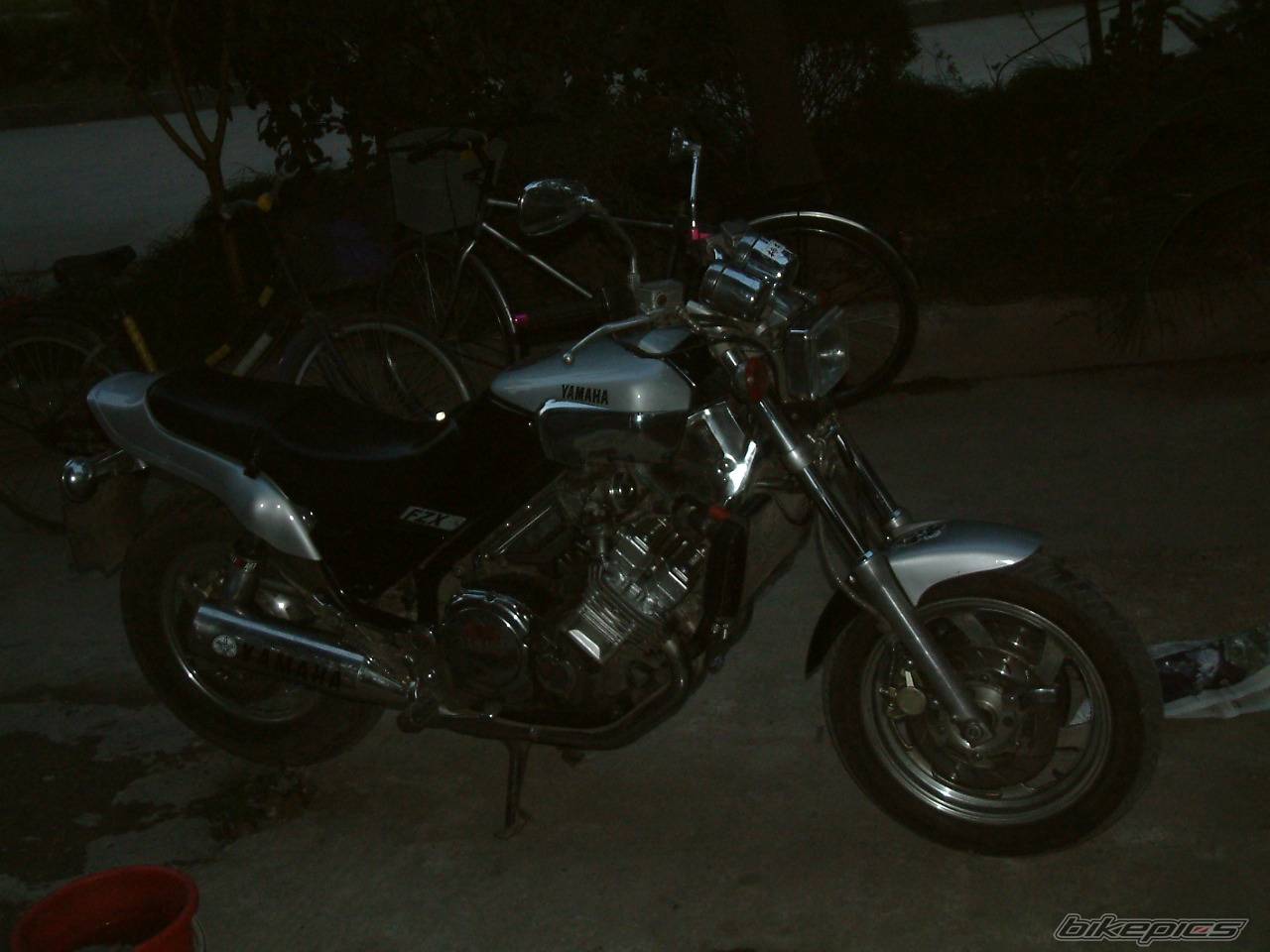 Photo 245478