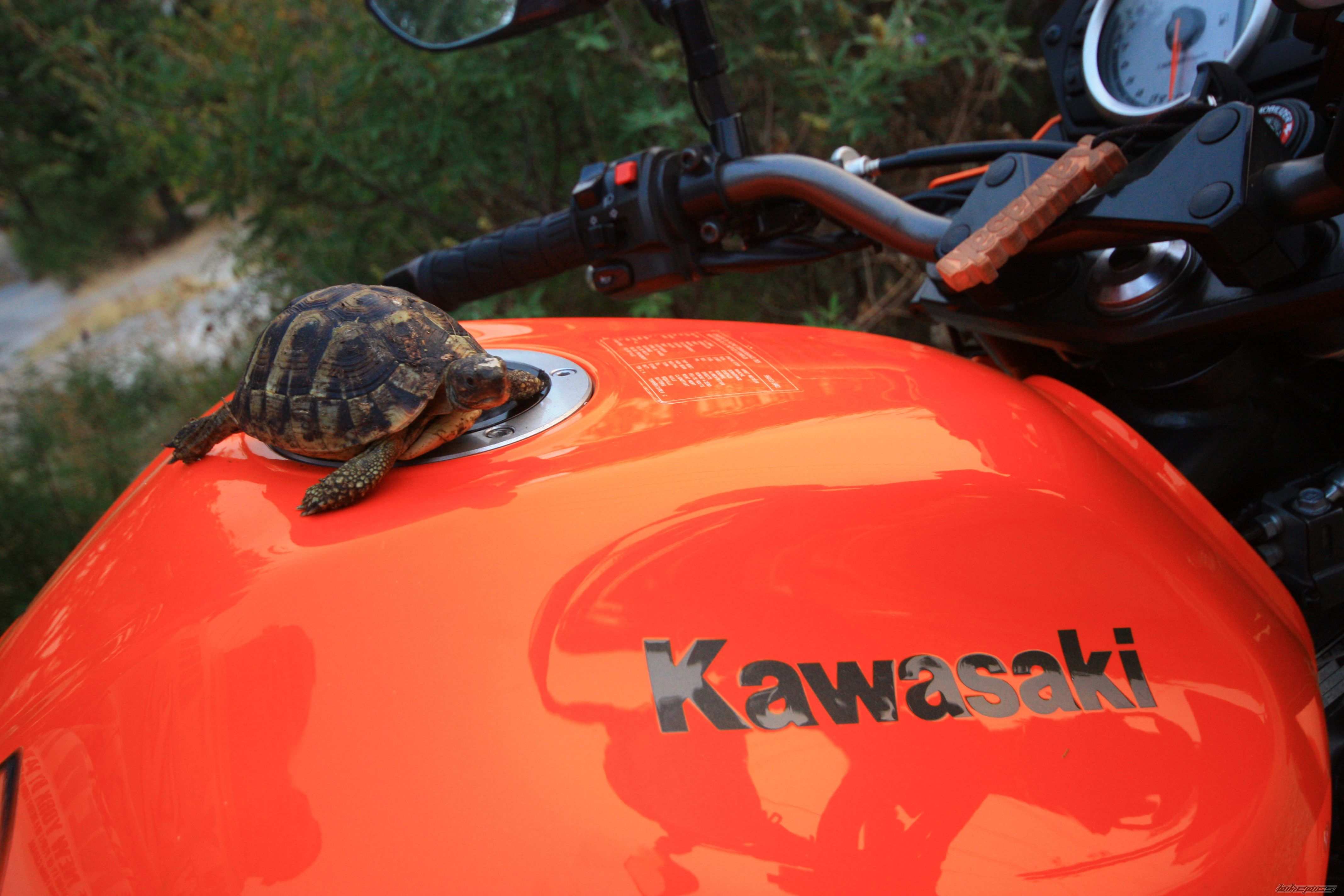 Photo 2454828