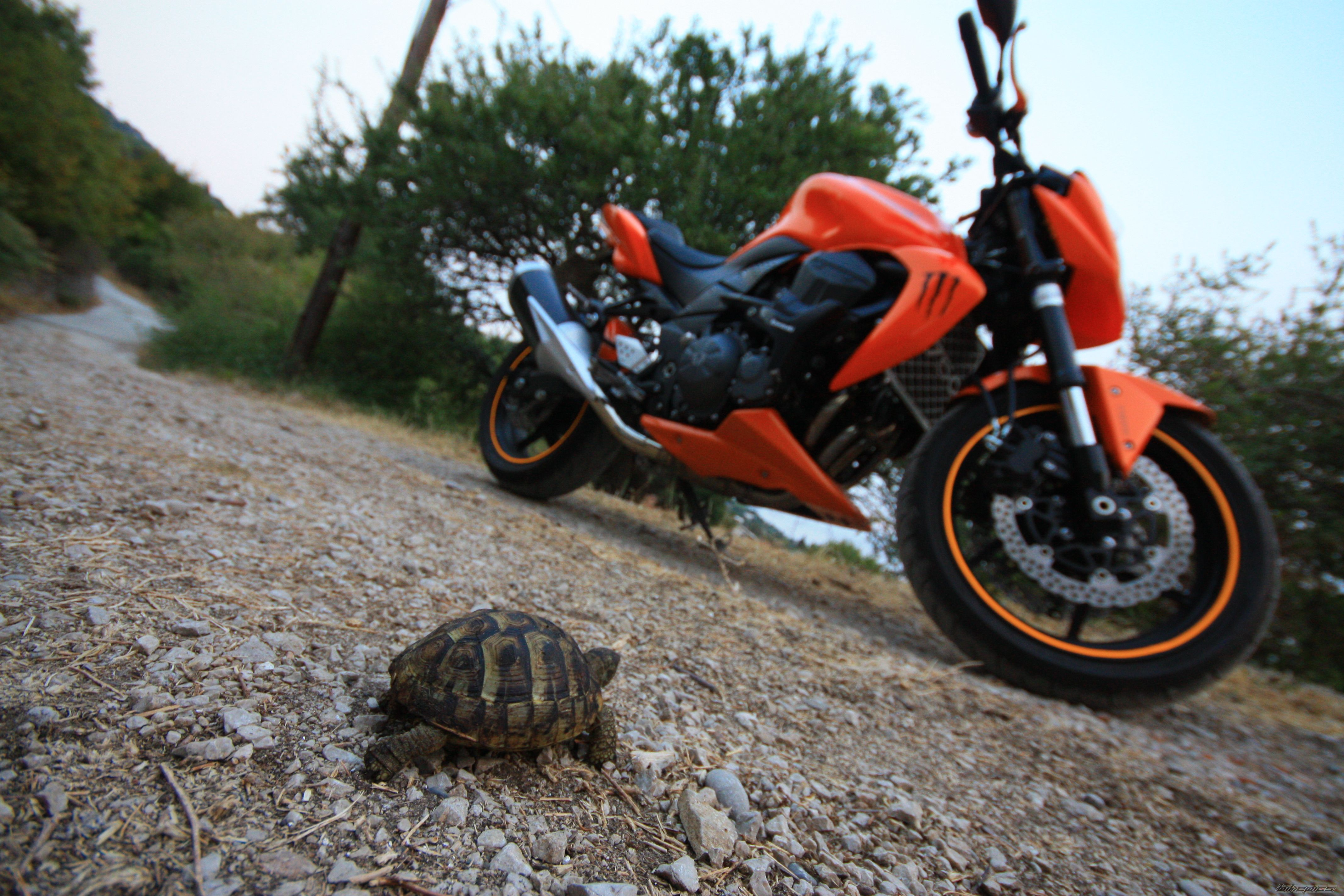Photo 2454829