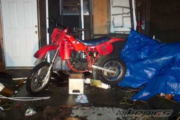 Photo 245483