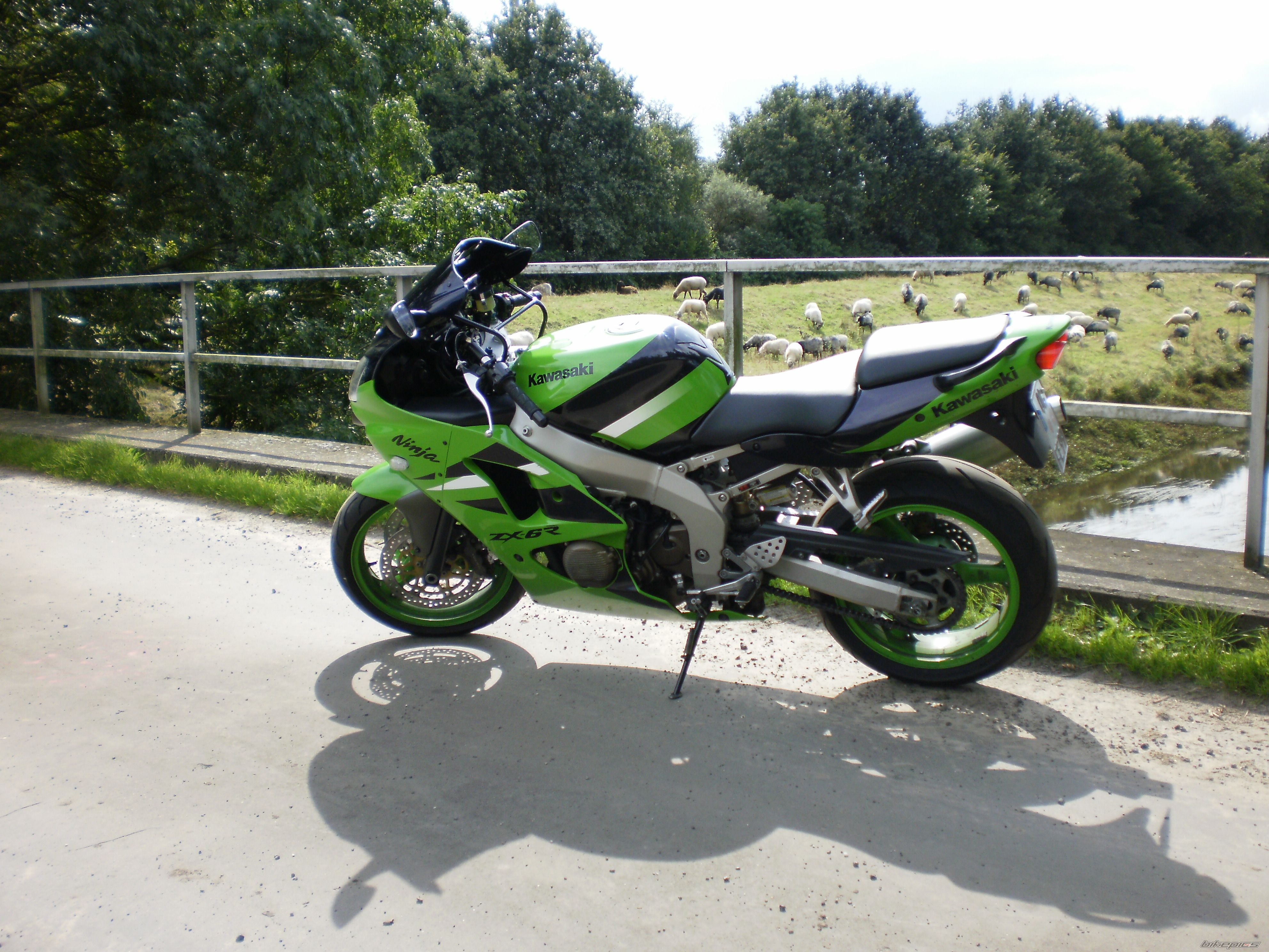 Photo 2454897