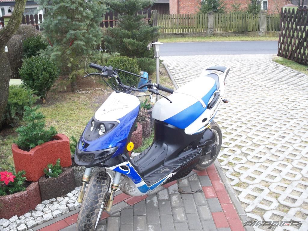 Photo 2454915
