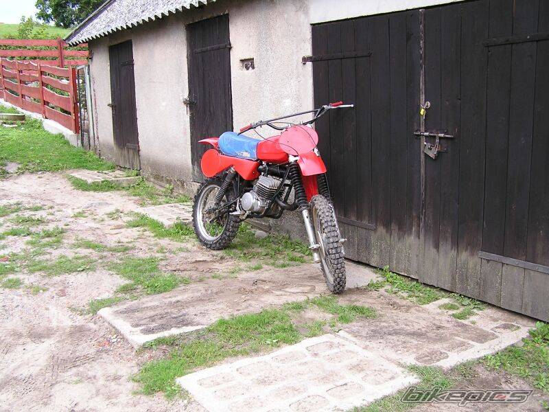 Photo 245493