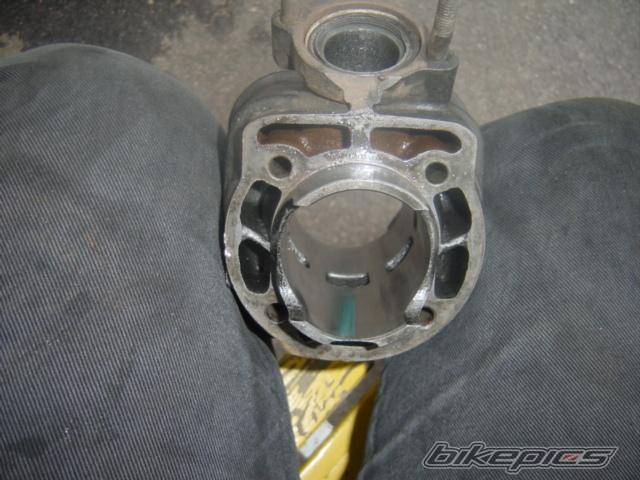 Bike Photo 245504