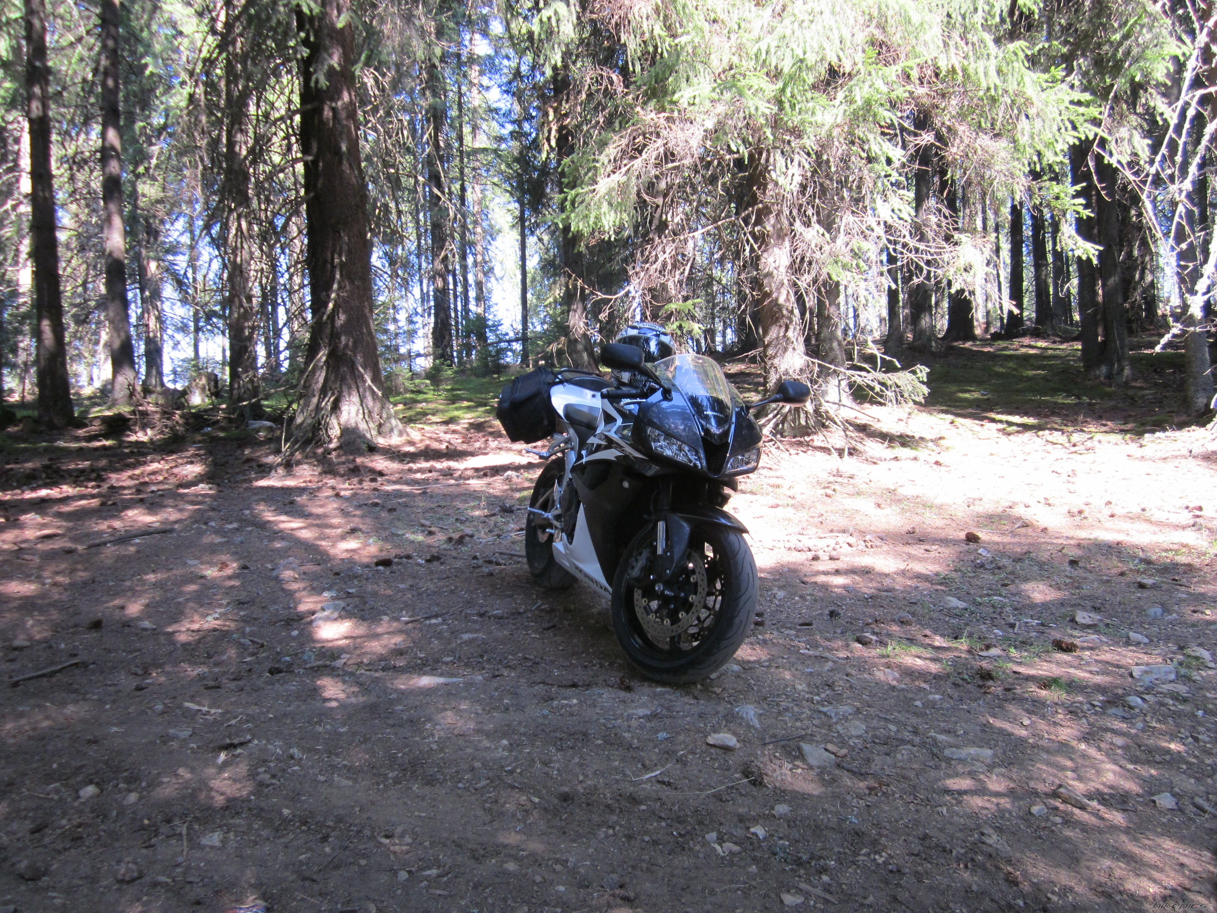 Photo 2455059