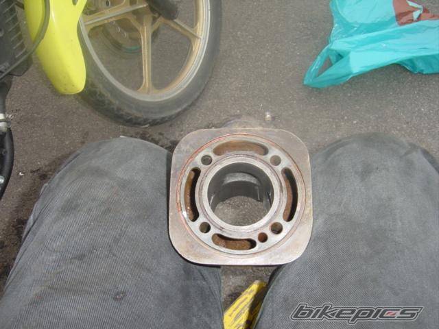 Photo 245506