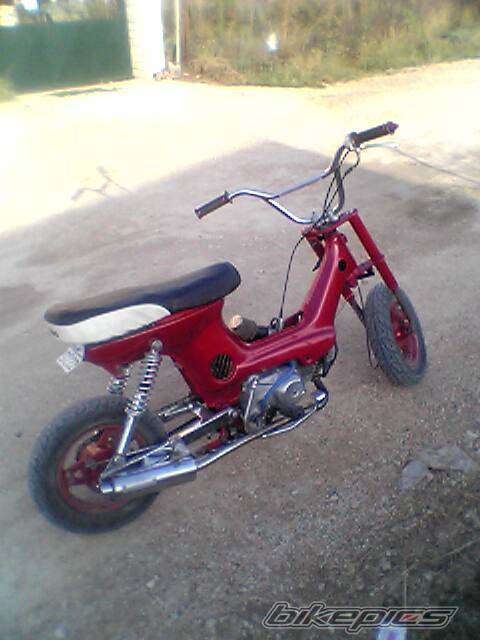 Bike Photo 245508