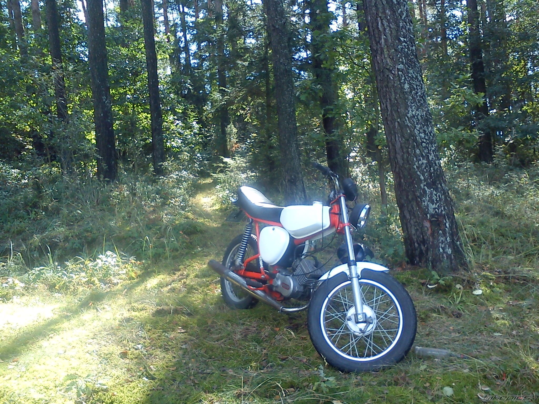 Bike Photo 2455132