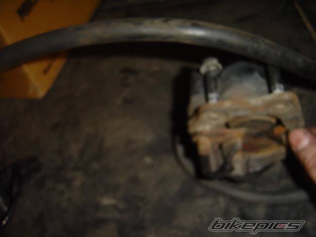 Photo 245514
