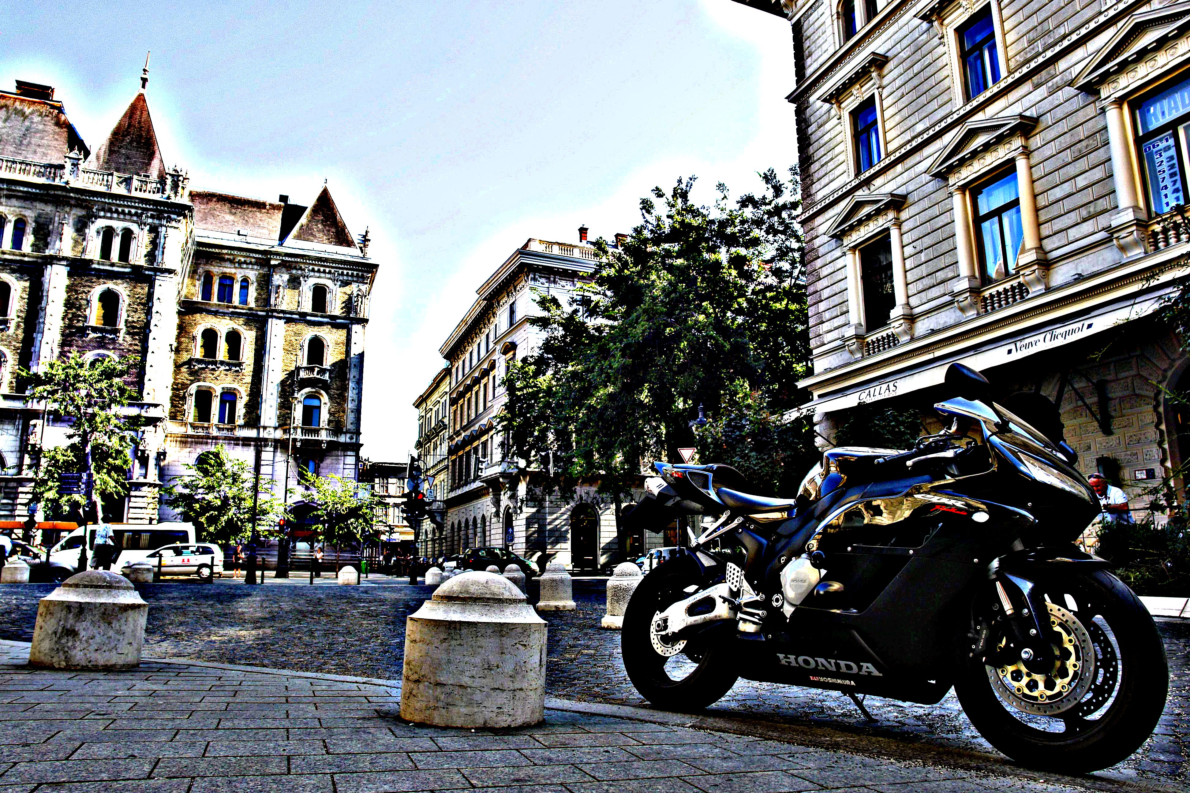 Photo 2455186