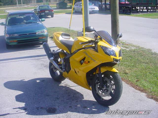 Photo 245521
