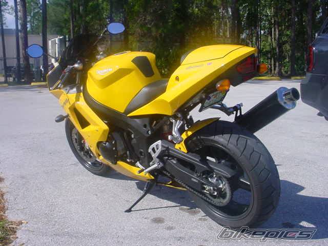 Photo 245524