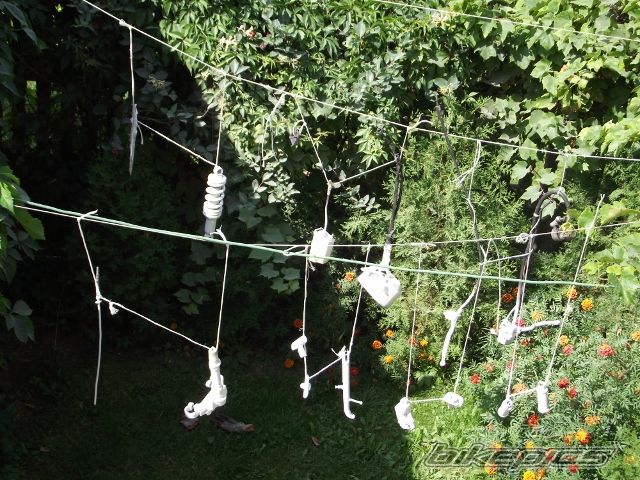 Photo 2455272