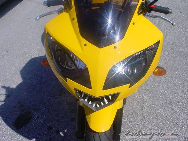 Photo 245528