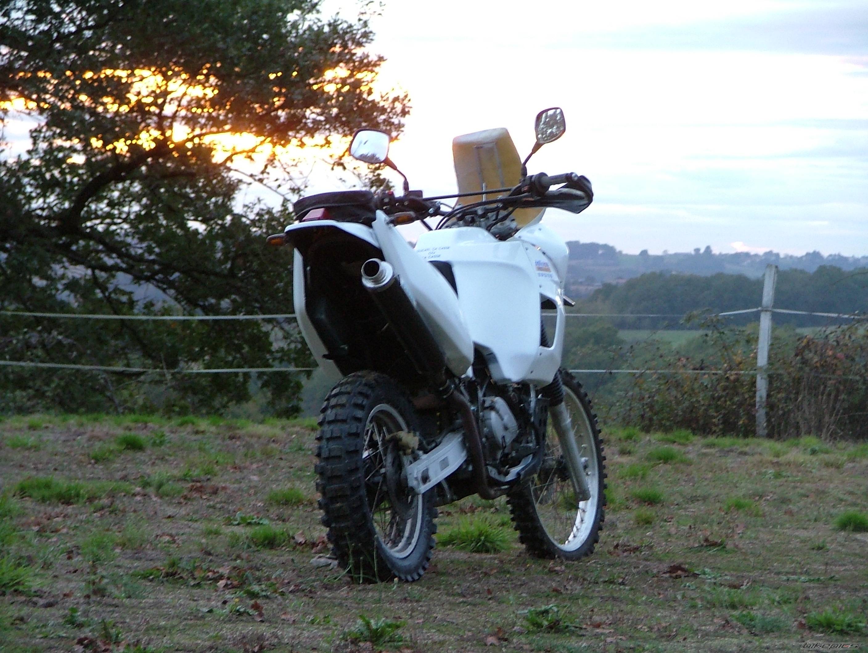 Photo 245530