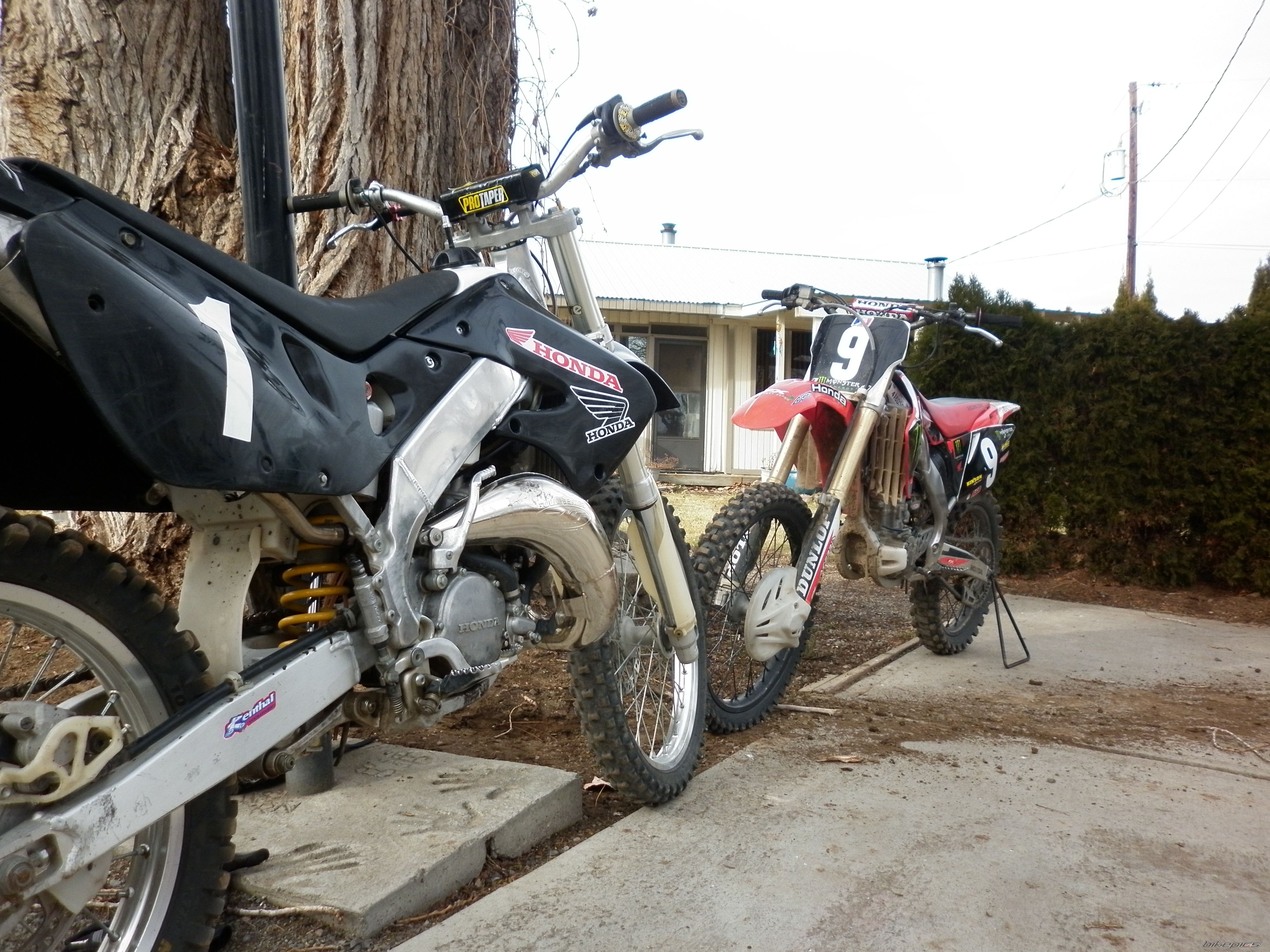 Photo 2455342