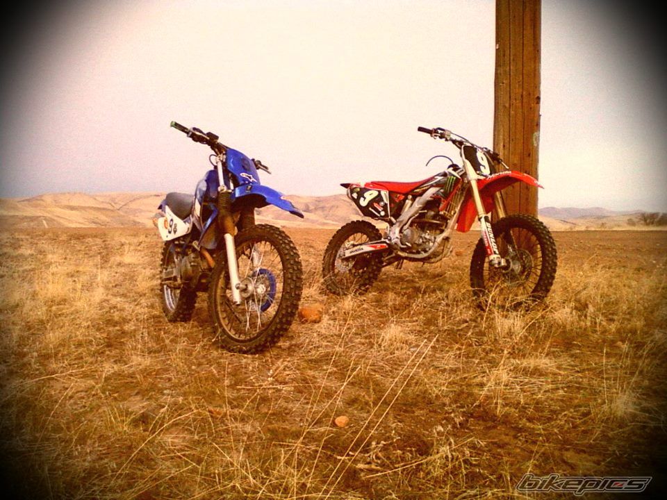 Photo 2455348