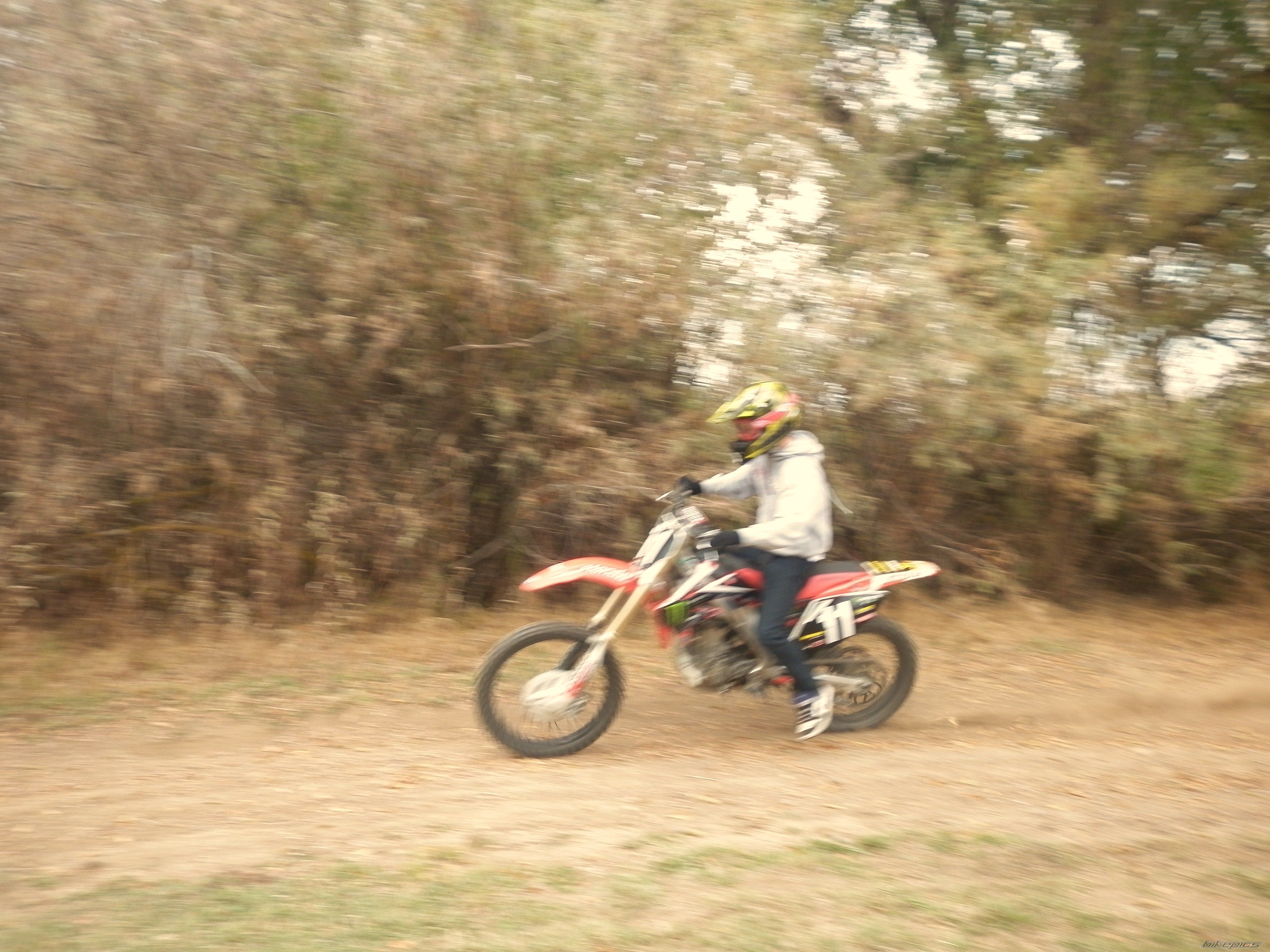Photo 2455368