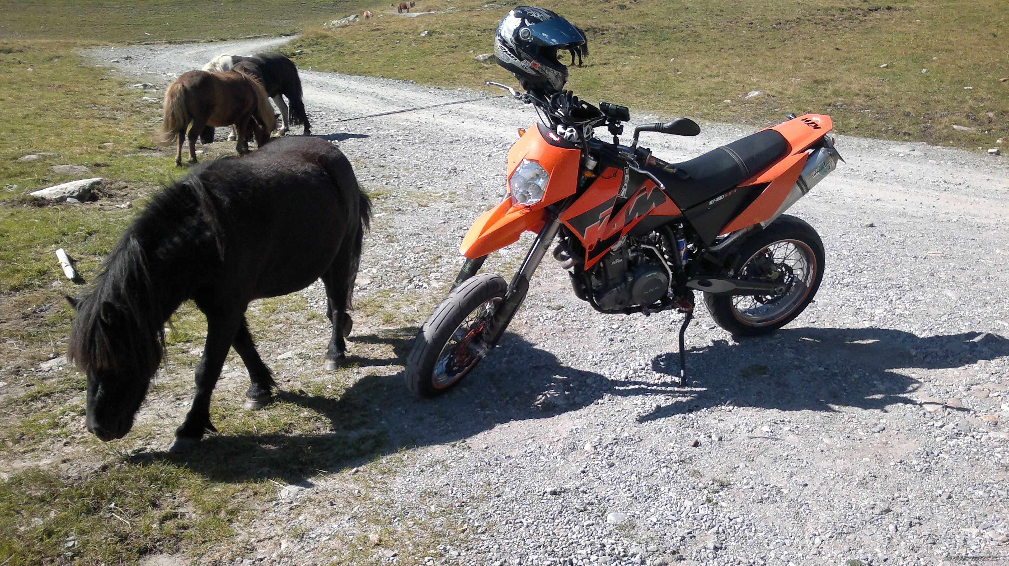 Photo 2455401