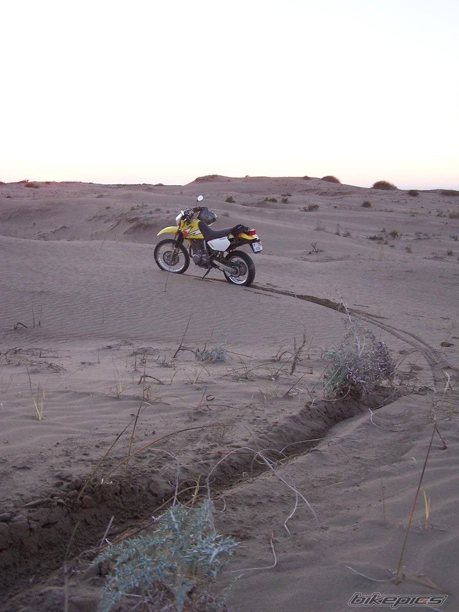 Bike Photo 245541
