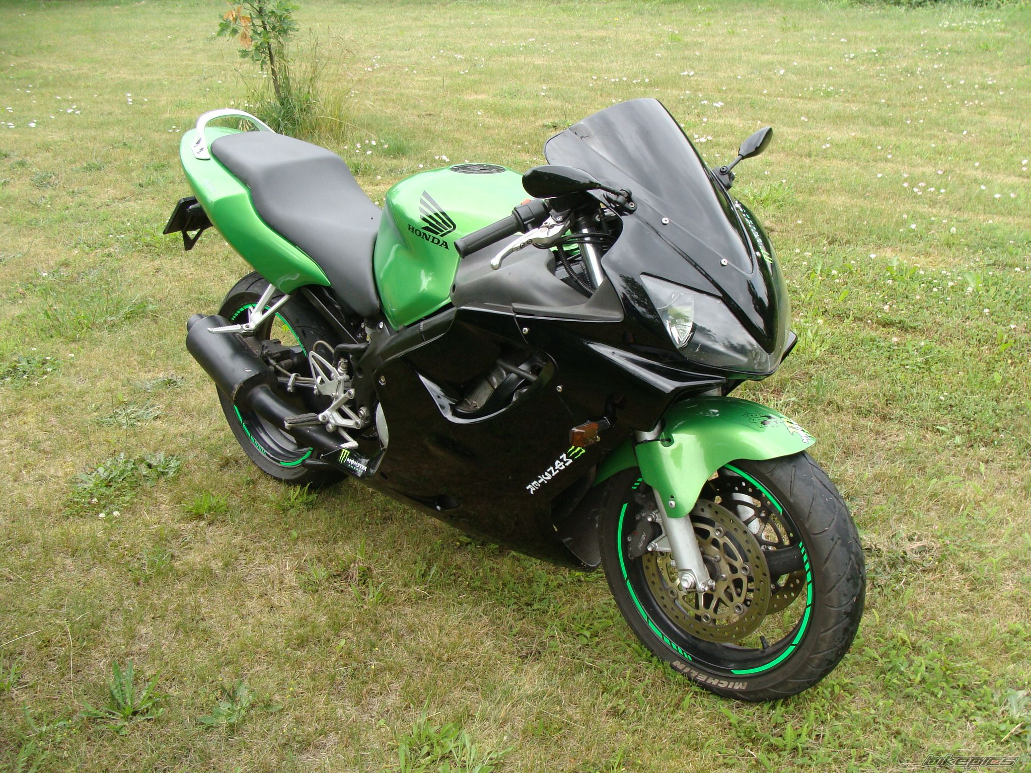 Photo 2455436