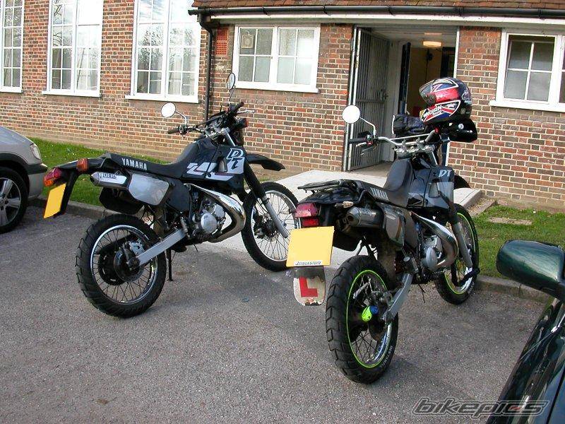 Photo 245554
