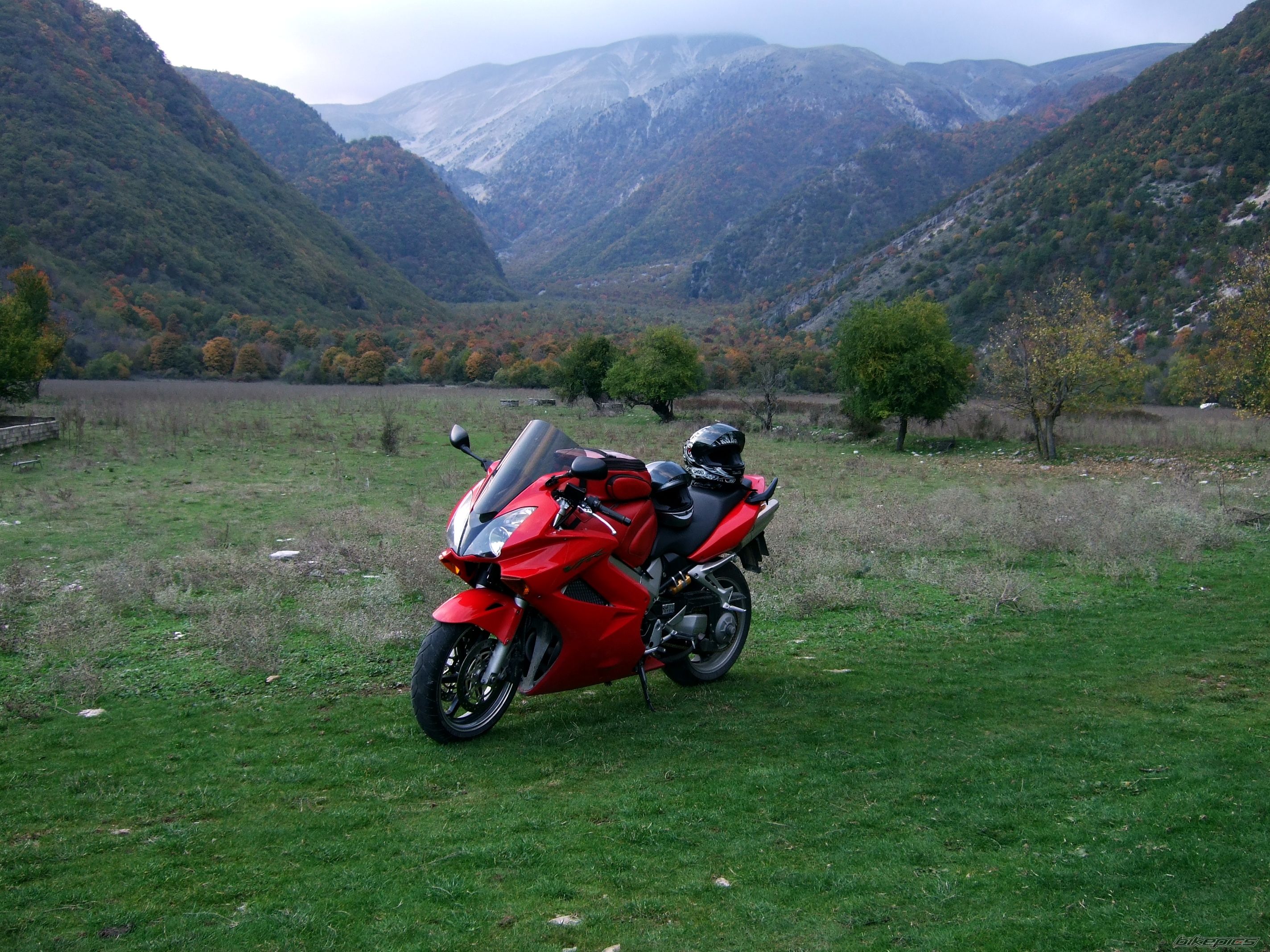 Photo 2455565